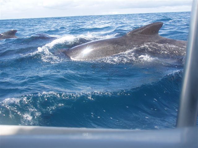 Bathed in a crisp light